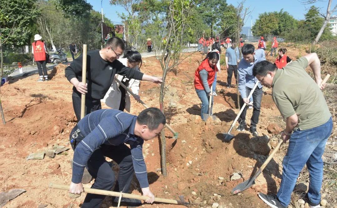 陈巷镇：志愿服务植树增绿 助力污染防治攻坚